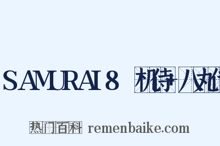 SAMURAI8～机侍+八丸传是什么意思的图片